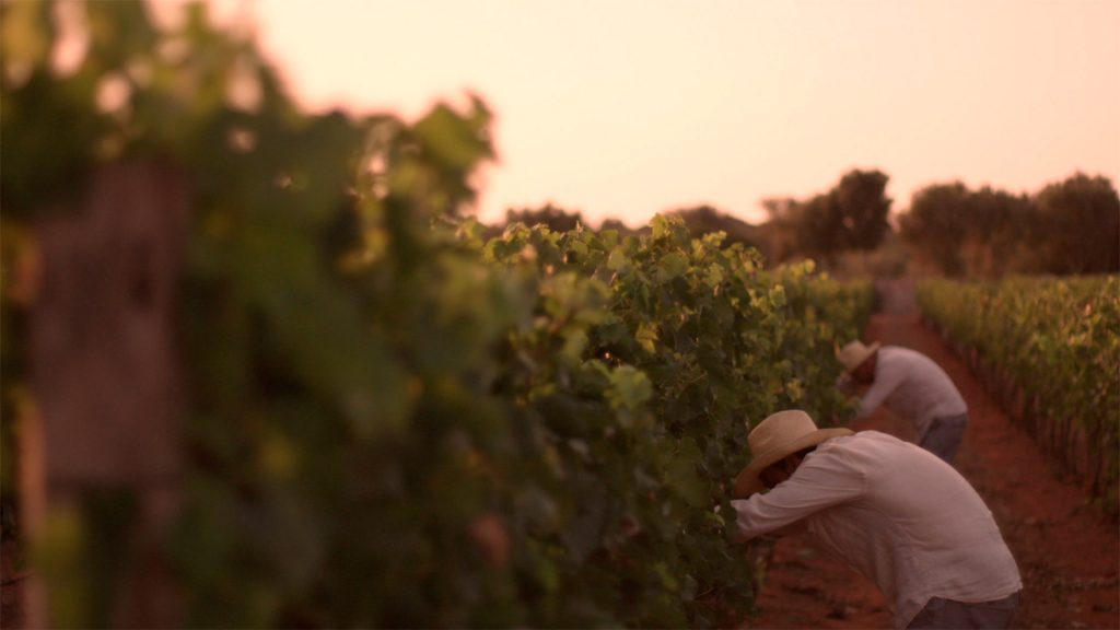 Bodegas Torralbenc