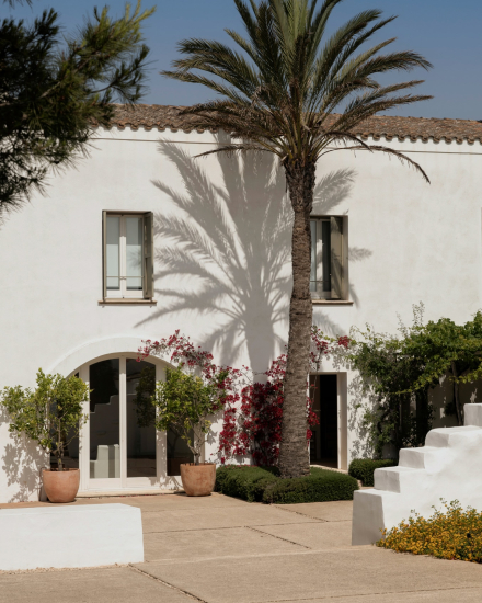 Fachada blanca de Torralbenc con palmera y vegetación mediterránea
