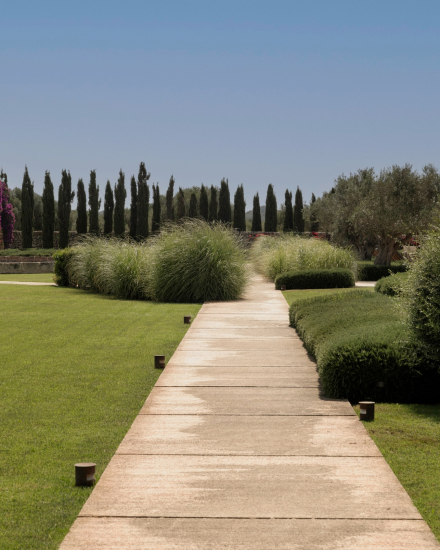 Camino de piedra entre jardines con arbustos y cipreses en Torralbenc