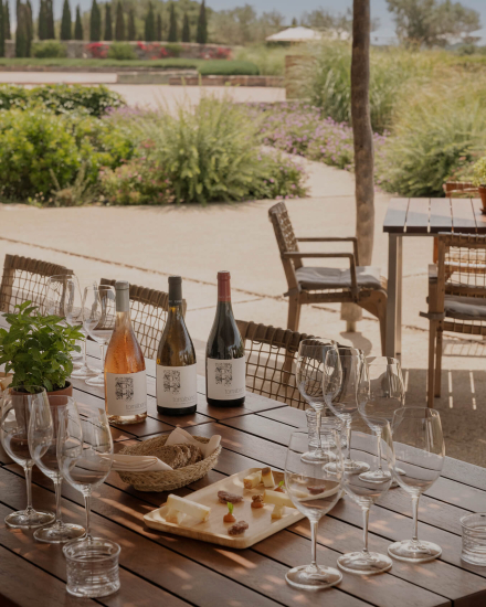 Mesa al aire libre con vinos de la bodega Torralbenc, copas y tabla de quesos en un entorno natural de Menorca