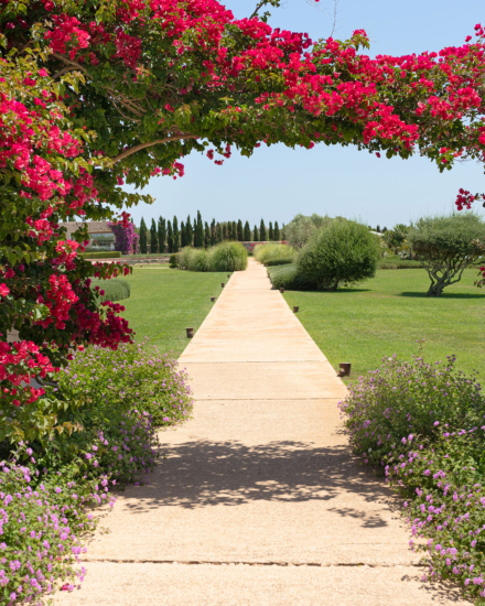 Paisaje exterior de Torralbenc Menorca